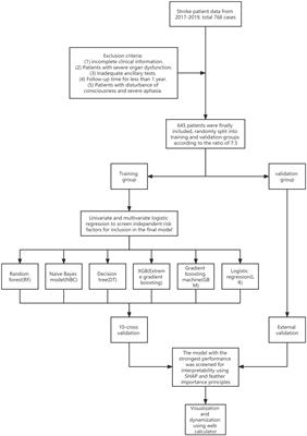 A machine learning model for visualization and dynamic clinical prediction of stroke recurrence in acute ischemic stroke patients: A real-world retrospective study